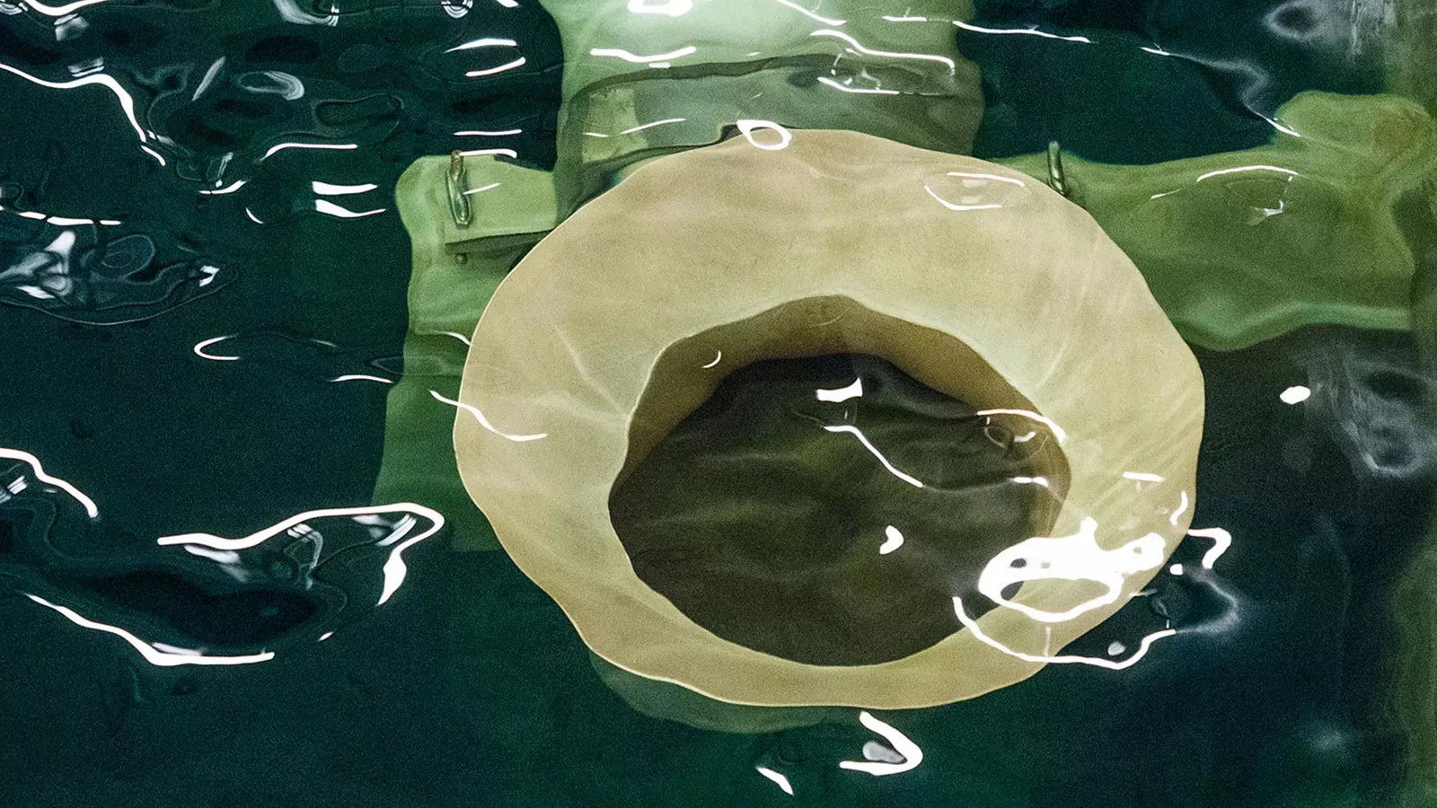Wasserfilterung mit FILTRALITE