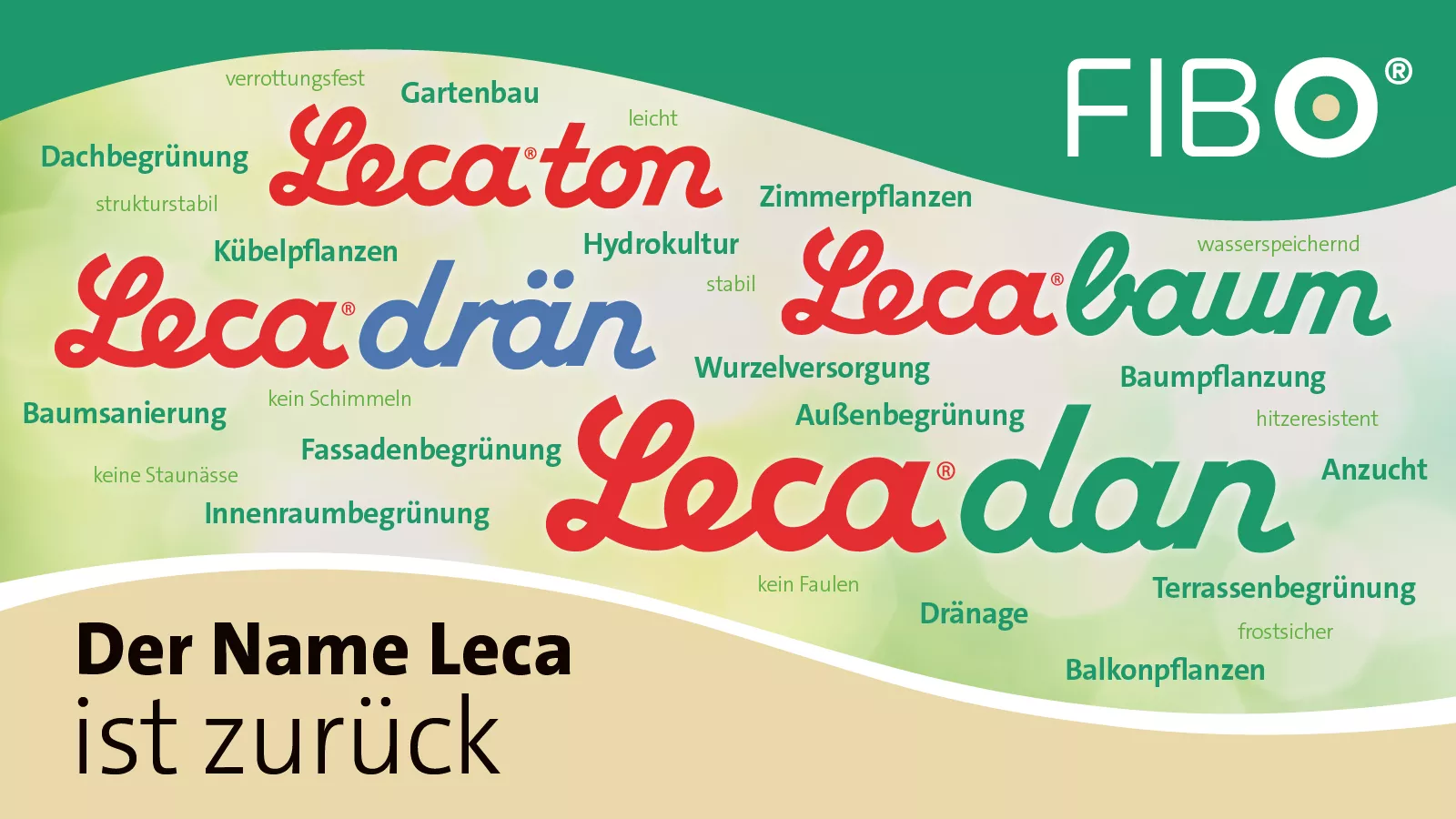 Leca ist zurück
